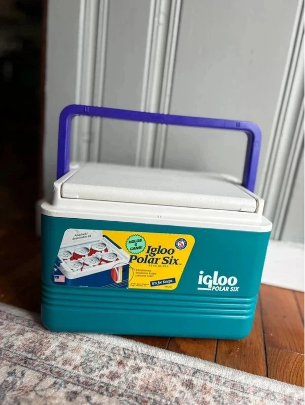 Vintage IGLOO Polar Six Cooler 6pk Size Retro Colors